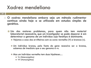 Xadrez mendeliano
27

        O xadrez mendeliano embora seja um método rudimentar
         continua ainda hoje a se utilizado em estudos simples de
         genética.

            Um dos maiores problemas, para quem não tem material
             laboratorial necessário, que um investigador se pode deparar é em
             determinar o genoma de um indivíduo cujo fenótipo é dominante.
                Vejamos o caso das ervilheiras com as cores vermelha (V) e brancas (v).

                Um indivíduo branco, pelo facto do gene recessivo ser o branco,
                 sabemos de imediato que o seu genoma é vv.

                Mas um indivíduo vermelho tem duas hipóteses…
                      Vv (Heterozigótico)
                      VV (Homozigótico)
 