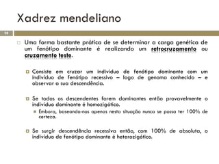 Xadrez mendeliano
28

        Uma forma bastante prática de se determinar a carga genética de
         um fenótipo dominante é realizando um retrocruzamento ou
         cruzamento teste.

            Consiste em cruzar um indivíduo de fenótipo dominante com um
             indivíduo de fenótipo recessivo – logo de genoma conhecido – e
             observar a sua descendência.

            Se todos os descendentes forem dominantes então provavelmente o
             indivíduo dominante é homozigótico.
                Embora, baseando-nos apenas nesta situação nunca se possa ter 100% de
                 certeza.

            Se surgir descendência recessiva então, com 100% de absoluta, o
             indivíduo de fenótipo dominante é heterozigótico.
 