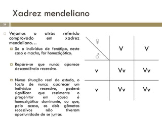 Xadrez mendeliano
29


    Vejamos    o        atrás     referido
     comprovado           em        xadrez
     mendeliano…                               ♀
        Se o indivíduo de fenótipo, neste
         caso o macho, for homozigótico.
                                                   V    V
                                               ♂
        Repare-se que nunca       aparece
         descendência recessiva.
                                               v   Vv   Vv
        Numa situação real de estudo, o
         facto de nunca aparecer um
         indivíduo
         significar
                      recessivo,
                     que
                                     poderá
                             realmente     o
                                               v   Vv   Vv
         progenitor     em       causa     é
         homozigótico dominante, ou que,
         pelo acaso, os dois gâmetas
         recessivos      não         tiveram
         oportunidade de se juntar.
 