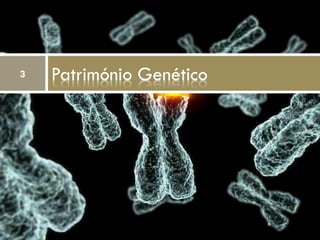 3   Património Genético
 