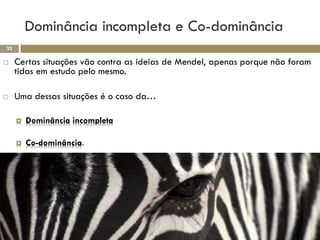 Dominância incompleta e Co-dominância
32

    Certas situações vão contra as ideias de Mendel, apenas porque não foram
     tidas em estudo pelo mesmo.

    Uma dessas situações é o caso da…

        Dominância incompleta

        Co-dominância.
 