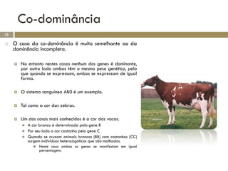 Co-dominância
35

    O caso da co-dominância é muito semelhante ao da
     dominância incompleta.

        No entanto nestes casos nenhum dos genes é dominante,
         por outro lado ambos têm o mesmo peso genético, pelo
         que quando se expressam, ambos se expressam de igual
         forma.

        O sistema sanguíneo AB0 é um exemplo.

        Tal como a cor das zebras.

        Um dos casos mais conhecidos é a cor das vacas.
            A cor branca é determinada pelo gene B
            Por seu lado a cor castanha pelo gene C
            Quando se cruzam animais brancos (BB) com castanhos (CC)
             surgem indivíduos heterozigóticos que são malhados.
                  Neste caso ambos os genes se manifestam em igual
                   percentagem.
 