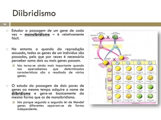 Diibridismo
36

    Estudar a passagem de um gene de cada
     vez – monoibridismo – é relativamente
     fácil.

    No entanto a quando da reprodução
     sexuada, todos os genes de um indivíduo são
     passados, pelo que por vezes é necessário
     perceber como dois ou mais genes passam.
        Isto torna-se ainda mais importante quando
         nos     apercebemos    que    determinadas
         características são o resultado de vários
         genes.

    O estudo da passagem de dois pares de
     genes ao mesmo tempo adquire o nome de
     diibridismo e gere-se basicamente da
     mesma forma que os de monoibridismo.
        Isto porque segundo a segunda lei de Mendel
         genes diferentes separam-se de forma
         independente.
 