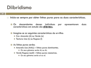 Diibridismo
37

        Inicia-se sempre por obter linhas puras para as duas características.

            Os descendentes desses indivíduos                    por   apresentarem   duas
             características em estudo são diíbridos.

            Imagine-se as seguintes características da ervilha:
                Cor: Amarela (A) ou Verde (a)
                Textura: Lisa (L) ou Rugoso (l)

            As linhas puras serão:
                Amarelo Lisa (AALL) – linhas puras dominantes.
                      Os seus gâmetas serão AL ou AL.
                Verde Rugoso (aall) – linhas puras recessivas.
                      Os seu gâmetas serão al ou al.
 