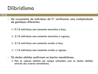 Diibridismo
39

        No cruzamento de indivíduos de F1 verificamos uma multiplicidade
         de genótipos diferentes:

            9/16 indivíduos com sementes amarelas e lisas;

            3/16 indivíduos com sementes amarelas e rugosas;

            3/16 indivíduos com sementes verdes e lisas;

            1/16 indivíduos com sementes verdes e rugosas.

        Os dados obtidos confirmam as teorias mendelianas.
            Pois os valores obtidos em campo coincidem com os dados obtidos
             através dos xadrez mendeliano.
 