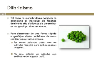 Diibridismo
40

        Tal como no monoibridismo, também no
         diibridismo os indivíduos de fenótipo
         dominante são duvidosos de determinar
         os seu genótipo só observando.

        Para determinar de uma forma rápida
         o genótipo destes indivíduos devemos
         realizar um retrocruzamento.
            Por outras palavras cruzar com um
             indivíduo recessivo para ambos os pares
             de genes.

            No caso anterior um indivíduo com
             ervilhas verdes rugosas (aall).
 