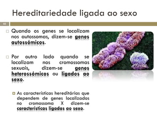 Hereditariedade ligada ao sexo
43


    Quando os genes se localizam
     nos autossomas, dizem-se genes
     autossómicos.

    Por outro lado quando se
     localizam   nos   cromossomas
     sexuais,   dizem-se     genes
     heterossómicos ou ligados ao
     sexo.

        As características hereditárias que
         dependem de genes localizados
         no cromossoma X dizem-se
         características ligadas ao sexo.
 