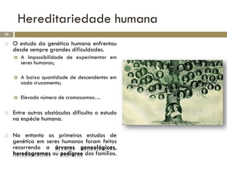 Hereditariedade humana
53

    O estudo da genética humana enfrentou
     desde sempre grandes dificuldades.
        A impossibilidade de experimentar em
         seres humanos;

        A baixa quantidade de descendentes em
         cada cruzamento;

        Elevado número de cromossomas…

    Entre outros obstáculos dificulta o estudo
     na espécie humana.

    No entanto os primeiros estudos de
     genética em seres humanos foram feitos
     recorrendo a árvores geneológicas,
     heredogramas ou pedigree das famílias.
 