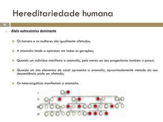 Hereditariedade humana
56

    Alelo autossómico dominante

        Os homens e as mulheres são igualmente afetados;

        A anomalia tende a aparecer em todas as gerações;

        Quando um indivíduo manifesta a anomalia, pelo menos um dos progenitores também o possui;

        Quando um dos elementos do casal apresenta a anomalia, aproximadamente metade da sua
         descendência pode ser afetada;

        Os heterozigóticos manifestam a anomalia.
 