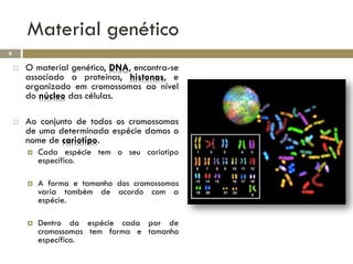 Material genético
6

       O material genético, DNA, encontra-se
        associado a proteínas, histonas, e
        organizado em cromossomas ao nível
        do núcleo das células.

       Ao conjunto de todos os cromossomas
        de uma determinada espécie damos o
        nome de cariotipo.
           Cada espécie tem o seu cariotipo
            específico.

           A forma e tamanho dos cromossomas
            varia também de acordo com a
            espécie.

           Dentro da espécie cada par de
            cromossomas tem forma e tamanho
            específico.
 