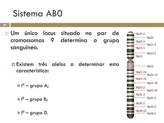 Sistema AB0
60


    Um único locus situado no par de
     cromossomas 9 determina o grupo
     sanguíneo.

      Existem  três alelos a determinar esta
      característica:

        IA   – grupo A;

        IB   – grupo B;

        I0   – grupo 0.
 