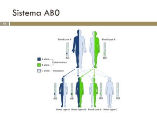 Sistema AB0
62
 