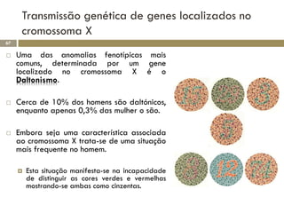 Transmissão genética de genes localizados no
      cromossoma X
67

    Uma das anomalias fenotípicas mais
     comuns, determinada por um gene
     localizado no cromossoma X é o
     Daltonismo.

    Cerca de 10% dos homens são daltónicos,
     enquanto apenas 0,3% das mulher o são.

    Embora seja uma característica associada
     ao cromossoma X trata-se de uma situação
     mais frequente no homem.

        Esta situação manifesta-se na incapacidade
         de distinguir as cores verdes e vermelhas
         mostrando-se ambas como cinzentas.
 