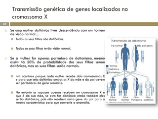 Transmissão genética de genes localizados no
      cromossoma X
69

    Se uma mulher daltónica tiver descendência com um homem
     de visão normal…
        Todos os seus filhos são daltónicos.

        Todas as suas filhas terão visão normal.

    Se a mulher for apenas portadora de daltonismo, mesmo
     assim há 50% de probabilidade dos seus filhos serem
     daltónicos, mas as suas filhas serão normais.

        Isto acontece porque cada mulher recebe dois cromossomas X
         e para que seja daltónica ambos os X da mãe e do pai devem
         ser portadores do gene recessivo.

        No entanto os rapazes apenas recebem um cromossoma X e
         que é da sua mãe, se esta for daltónica então também eles
         serão daltónicos, pois não recebem outro gene do pai para a
         mesma característica para que contrarie a anomalia.
 