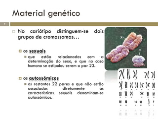 Material genético
7


       No cariótipo distinguem-se dois
        grupos de cromossomas…

           os sexuais
               que estão relacionados com a
                determinação do sexo, e que no caso
                humano se estipulou serem o par 23.

           os autossómicos
               os restantes 22 pares e que não estão
                associados        diretamente      as
                características sexuais denominam-se
                autossómicos.
 