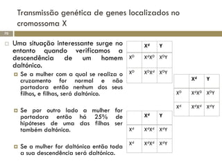 Transmissão genética de genes localizados no
      cromossoma X
70

    Uma situação interessante surge no              Xd   Y
     entanto quando verificamos a
     descendência de um homem                   XD   XdXD XDY
     daltónico.
                                               D     XDXd XDY
        Se a mulher com a qual se realiza o X
         cruzamento for normal e não                                 Xd   Y
         portadora então nenhum dos seus
         filhos, e filhas, será daltónico.                      XD   XdXD XDY

                                                                Xd   XdXd XdY
        Se por outro lado a mulher for
         portadora então há 25% de                   Xd   Y
         hipóteses de uma das filhas ser
         também daltónica.               Xd          XdXd XdY

                                                Xd   XdXd XdY
        Se a mulher for daltónica então toda
         a sua descendência será daltónica.
 
