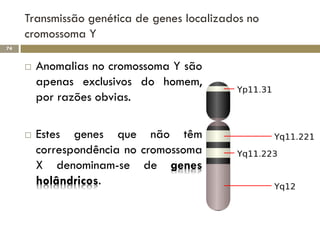 Transmissão genética de genes localizados no
     cromossoma Y
74


        Anomalias no cromossoma Y são
         apenas exclusivos do homem,
         por razões obvias.

        Estes genes que não têm
         correspondência no cromossoma
         X denominam-se de genes
         holândricos.
 