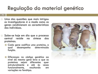 Regulação do material genético
75

    Uma das questões que mais intrigou
     os investigadores é o modo como os
     genes condicionam as características
     dos indivíduos.

    Sabe-se hoje em dia que o processo
     central reside na síntese das
     proteínas.
        Cada gene codifica uma proteína, a
         qual    desempenha   determinada
         função.

        Diferenças no código genético ao
         nível do mesmo gene leva a que as
         proteínas sejam diferentes quer
         estruturalmente e até às vezes
         funcionalmente,     resultando em
         variações no fenótipo.
 