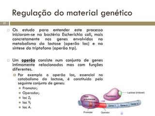 Regulação do material genético
77

        Os estudo para entender este processo
         iniciaram-se na bactéria Escherichia coli, mais
         concretamente nos genes envolvidos no
         metabolismo da lactose (operão lac) e na
         síntese do triptofano (operão trp).

        Um operão consiste num conjunto de genes
         intimamente relacionados mas com funções
         diferentes.
            Por exemplo o operão lac, essencial no
             catabolismo da lactose, é constituído pelo
             seguinte conjunto de genes:
                Promotor;
                Operador;
                lac Z;
                lac Y;
                lac A.
 