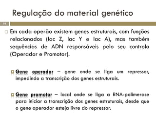 Regulação do material genético
78


    Em cada operão existem genes estruturais, com funções
     relacionados (lac Z, lac Y e lac A), mas também
     sequências de ADN responsáveis pelo seu controlo
     (Operador e Promotor).

      Gene  operador – gene onde se liga um repressor,
       impedindo a transcrição dos genes estruturais.

      Gene  promotor – local onde se liga a RNA-polimerase
       para iniciar a transcrição dos genes estruturais, desde que
       o gene operador esteja livre do repressor.
 