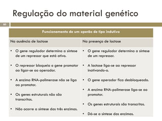 Regulação do material genético
80

                       Funcionamento de um operão de tipo indutivo

     Na ausência de lactose                     Na presença de lactose

     • O gene regulador determina a síntese     • O gene regulador determina a síntese
       de um repressor que está ativo.            de um repressor.

     • O repressor bloqueia o gene promotor     • A lactose liga-se ao repressor
       ao ligar-se ao operador.                   inativando-o.

     • A enzima RNA-polimerase não se liga      • O gene operador fica desbloqueado.
       ao promotor.
                                                • A enzima RNA-polimerase liga-se ao
     • Os genes estruturais não são               promotor.
       transcritos.
                                                • Os genes estruturais são transcritos.
     • Não ocorre a síntese das três enzimas.
                                                • Dá-se a síntese das enzimas.
 