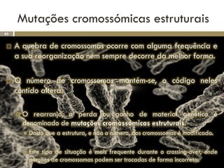 Mutações cromossómicas estruturais
85


    A quebra de cromossomas ocorre com alguma frequência e
     a sua reorganização nem sempre decorre da melhor forma.

    O número de cromossomas mantém-se, o código neles
     contido altera.

        O rearranjo, a perda ou ganho de material genético é
         denominado de mutações cromossómicas estruturais.
            Dado que a estrutura, e não o número, dos cromossomas é modificado.

            Este tipo de situação é mais frequente durante o crossing-over, onde
             porções de cromossomas podem ser trocadas de forma incorreta.
 