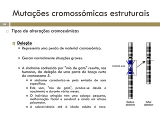 Mutações cromossómicas estruturais
86

    Tipos de alterações cromossómicas

        Deleção
            Representa uma perda de material cromossómico.

            Geram normalmente situações graves.

            A síndrome conhecido por "mio de gato" resulta, nos
             humanos, da deleção de uma parte do braço curto
             do cromossoma 5.
                  A síndrome caracteriza-se pela emissão de sons
                   específicos.
                  Este som, "mio de gato", produz-se desde o
                   nascimento e durante vários meses.
                  O indivíduo atingido tem uma cabeça pequena,
                   malformação facial e cerebral e ainda um atraso
                   psicomotor.
                  A sobrevivência até à idade adulta é rara.
 