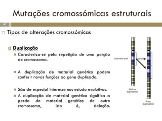 Mutações cromossómicas estruturais
87


    Tipos de alterações cromossómicas

        Duplicação
            Caracteriza-se pela repetição de uma porção
             de cromossoma.

            A duplicação de material genético podem
             conferir novas funções ao gene duplicado.

          São de especial interesse nos estudo evolutivos.
          A duplicação de material genético significa a
           perda de material genético de outro
           cromossoma,         isto       é,       deleção.
 