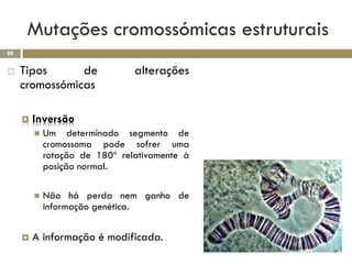 Mutações cromossómicas estruturais
88


    Tipos      de              alterações
     cromossómicas

        Inversão
            Um determinado segmento de
             cromossoma pode sofrer uma
             rotação de 180º relativamente à
             posição normal.

            Não há perda nem ganho de
             informação genética.


        A informação é modificada.
 