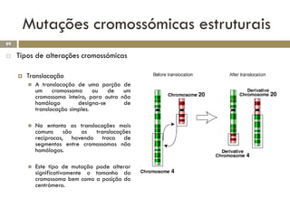 Mutações cromossómicas estruturais
89

    Tipos de alterações cromossómicas

        Translocação
            A translocação de uma porção de
             um cromossoma ou de um
             cromossoma inteiro, para outro não
             homólogo        designa-se      de
             translocação simples.

            No entanto as translocações mais
             comuns são as translocações
             recíprocas, havendo troca de
             segmentos entre cromossomas não
             homólogos.

            Este tipo de mutação pode alterar
             significativamente o tamanho do
             cromossoma bem como a posição do
             centrómero.
 