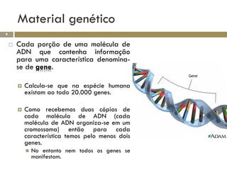 Material genético
9

       Cada porção de uma molécula de
        ADN que contenha informação
        para uma característica denomina-
        se de gene.

           Calcula-se que na espécie humana
            existam ao todo 20.000 genes.

           Como recebemos duas cópias de
            cada molécula de ADN (cada
            molécula de ADN organiza-se em um
            cromossoma) então para cada
            característica temos pelo menos dois
            genes.
               No entanto nem todos os genes se
                manifestam.
 