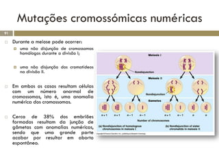 Mutações cromossómicas numéricas
91

    Durante a meiose pode ocorrer:
        uma não disjunção de cromossomas
         homólogos durante a divisão I;

        uma não disjunção dos cromatídeos
         na divisão II.


    Em ambos os casos resultam células
     com um número anormal de
     cromossomas, isto é, uma anomalia
     numérica dos cromossomas.

    Cerca de 38% dos embriões
     formados resultam da junção de
     gâmetas com anomalias numéricas,
     sendo que uma grande parte
     acabar por resultar em aborto
     espontâneo.
 