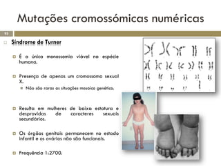 Mutações cromossómicas numéricas
95

    Síndrome de Turner

        É a única monossomia viável na espécie
         humana.

        Presença de apenas um cromossoma sexual
         X.
            Não são raras as situações mosaico genético.



        Resulta em mulheres de baixa estatura e
         desprovidas   de    caracteres   sexuais
         secundários.

        Os órgãos genitais permanecem no estado
         infantil e os ovários não são funcionais.

        Frequência 1:2700.
 