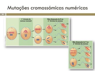 Mutações cromossómicas numéricas
98
 