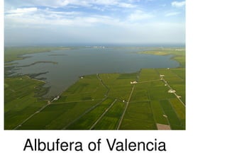Albufera of Valencia
 