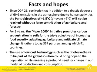 Soils Advantage: 4 per 1000 initiative - Paul Luu