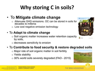 Soils Advantage: 4 per 1000 initiative - Paul Luu