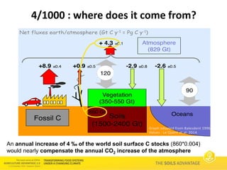 Soils Advantage: 4 per 1000 initiative - Paul Luu