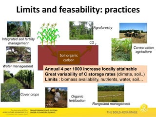 Soils Advantage: 4 per 1000 initiative - Paul Luu