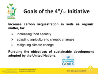 Soils Advantage: 4 per 1000 initiative - Paul Luu