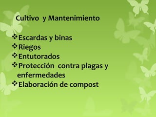 Cultivo y Mantenimiento
Escardas y binas
Riegos
Entutorados
Protección contra plagas y
enfermedades
Elaboración de compost

 