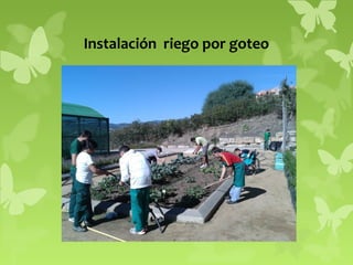 Instalación riego por goteo

 