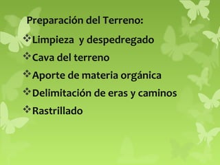 Preparación del Terreno:
Limpieza y despedregado
Cava del terreno
Aporte de materia orgánica
Delimitación de eras y caminos
Rastrillado

 