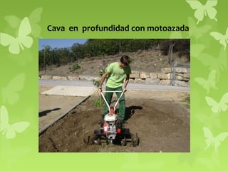Cava en profundidad con motoazada

 
