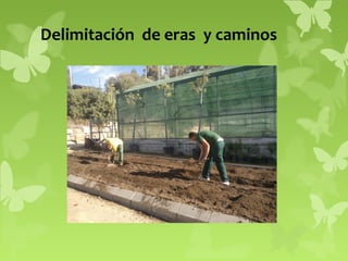 Delimitación de eras y caminos

 