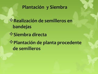 Plantación y Siembra
Realización de semilleros en
bandejas
Siembra directa
Plantación de planta procedente
de semilleros

 