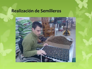 Realización de Semilleros

 