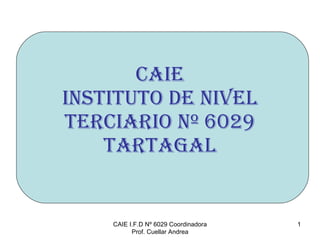 CAIE INSTITUTO DE NIVEL TERCIARIO Nº 6029 TARTAGAL CAIE I.F.D Nº 6029 Coordinadora Prof. Cuellar Andrea 