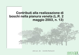 Contributi alla realizzazione di
boschi nella pianura veneta (L.R. 2
maggio 2003, n. 13)
dott.ssa for. Camilla Pedrazzini
 