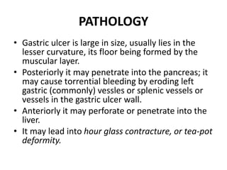 PATHOLOGY
• Gastric ulcer is large in size, usually lies in the
lesser curvature, its floor being formed by the
muscular layer.
• Posteriorly it may penetrate into the pancreas; it
may cause torrential bleeding by eroding left
gastric (commonly) vessles or splenic vessels or
vessels in the gastric ulcer wall.
• Anteriorly it may perforate or penetrate into the
liver.
• It may lead into hour glass contracture, or tea-pot
deformity.
 